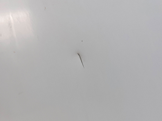 Холодильник Haier C2F536CWMV Россия